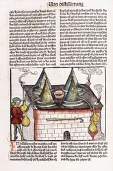 Illustrazione di una distilleria di fine XV secolo per estrarre gli oli essenziali dalle piante, 1500