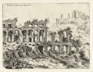 Veduta del Colosseo e del Palatino