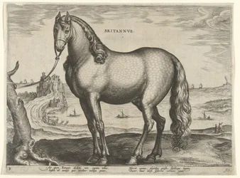 Cavallo della Bretagna