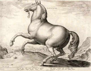 Gallicus dalla serie Cavalli dalla scuderia di Don Giovanni d