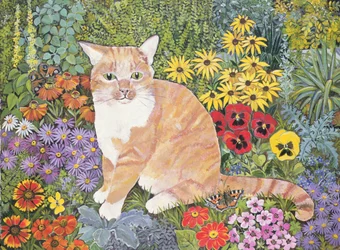 Il Gatto dei Falegnami