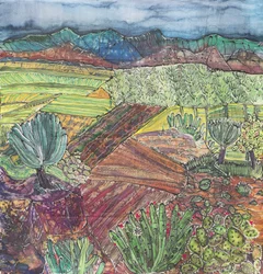 Paesaggio di Oaxaca