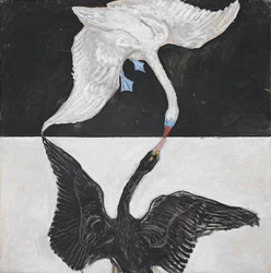 Gruppo IX/SUW, n. 1, Il cigno, n. 1
