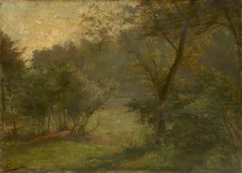 Vista sul bosco