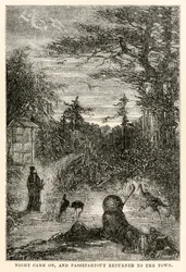 Cala la notte e Passepartout torna in città, da Il giro del mondo in ottanta giorni di Jules Verne (1828-1905) inciso da Louis Prevost, 1873