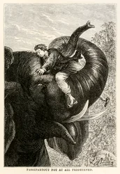 Passepartout per nulla spaventato, da Il giro del mondo in ottanta giorni di Jules Verne (1828-1905), 1873