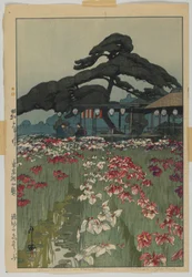 Giardino di Iris a Horikiri, dalla serie, Dodici Scene di Tokyo, era Showa