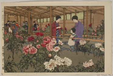 Giardino di Peonie Tokugawa, dalla serie, Dodici Scene di Tokyo, era Showa