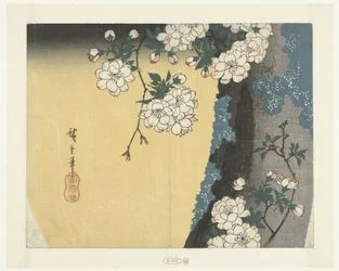 Tronco muschioso e fiori di ciliegio