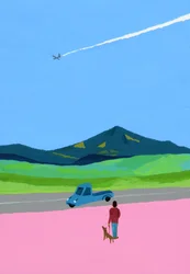 Aereo, camioncino, cane e prato