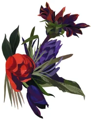 Tulipani e dalie