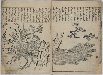 Una collezione di fiori e uccelli (Kacho zukushi)