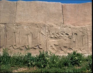 Veduta della base dei rilievi della Porta della Sfinge