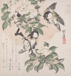 Collezione Pioggia di primavera Harusame shu, vol. 3: Cinciallegre e fiori di melo