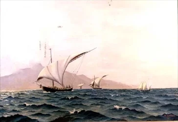 Barche da pesca portoghesi