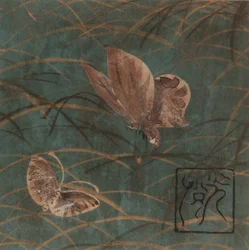 Farfalle e erbe, periodo Edo, inizio XVII secolo