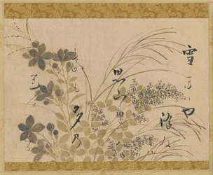 Fiori, erbe e una poesia