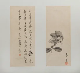 Paesaggi, figure e fiori, datato 1618-22 (album di dodici fogli; inchiostro e colore su carta)
