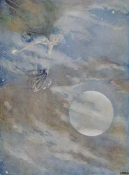 Devo prendere tutte le stelle per lucidarle, dalla storia di 