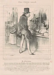 Il coccodrillo