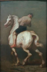 Un uomo su un cavallo bianco