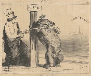 Un orso contrariato