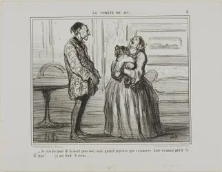 "Non ho paura per me, ma se penso al povero Azor che perirà il 13 giugno... mi si spezza il cuore", tavola 8 da La Cométe De 1857.