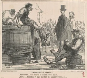Impressioni di vendemmia
