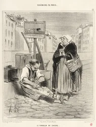 Il tosatore di cani