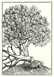 Illustrazione del Discorso della montagna (incisione)