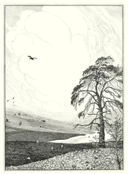 Ottobre (litografia)