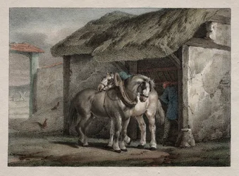 Cavallo da fattoria