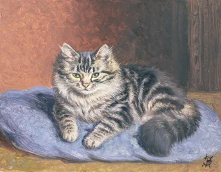 Il cuscino blu