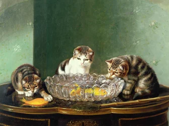La festa della pesca