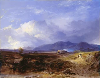 Una strada di mandrie nelle Highlands occidentali