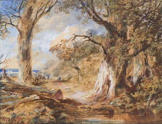 Il Bordo del Bosco