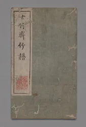 Manuale di Pittura e Calligrafia dello Studio dei Dieci Bambù Shizhuzhai shuhua pu: Bambù