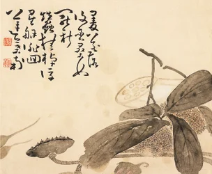 Foglia di album dipinta - Pianta di loto, XVIII secolo