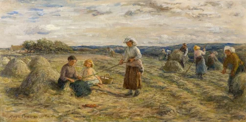 Fienagione