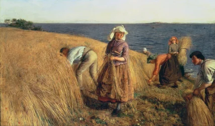 Il Raccolto