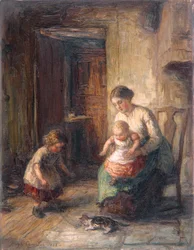 Il gattino