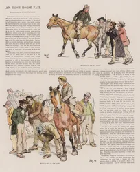 Una fiera di cavalli irlandese