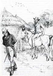 Illustrazione per 