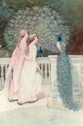 Illustrazione per Come vi piace di Shakespeare