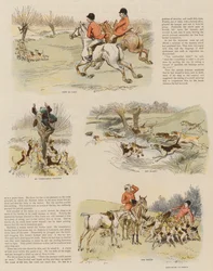 Aringhe rosse per posta