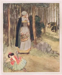 Vide il vecchio medico in cerca di radici ed erbe