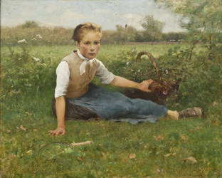 Raccogliendo fiori