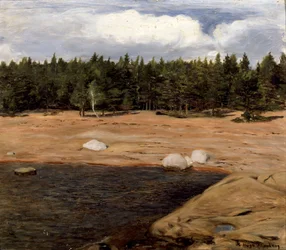 La spiaggia, Niemenlautta