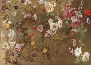 Composizione di studi floreali tra cui garofani, fiori di cuscino, saponaria, malva; malvarosa, calendule africane, nontiscordardimé