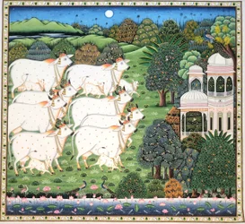 Vache sacre - Palazzo al chiaro di luna